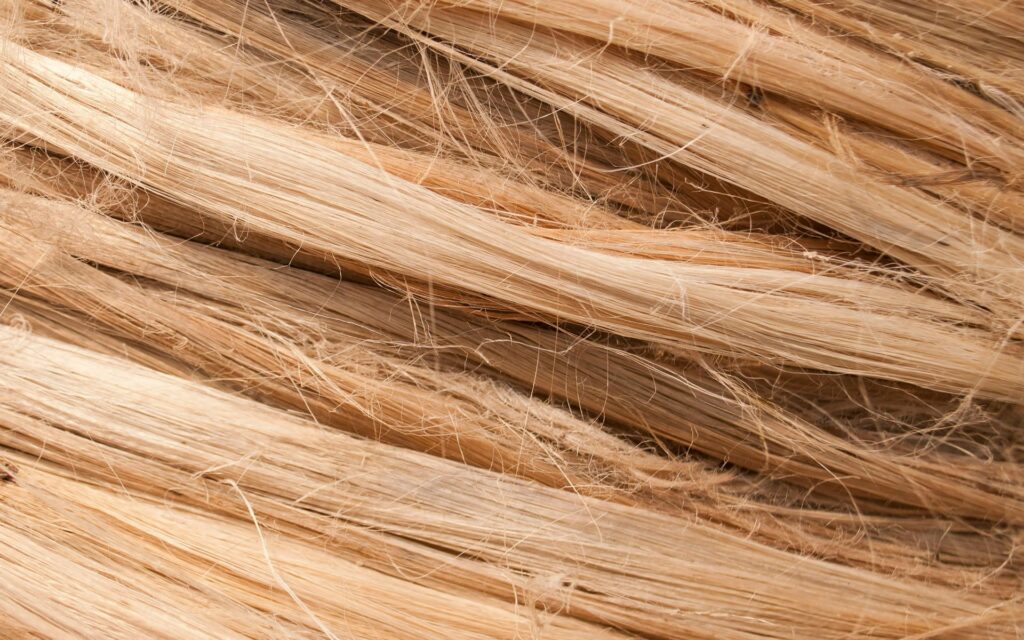 10 errores silenciosos que están estropeando tu cabello cada día